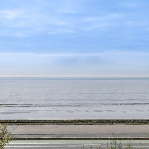 E09AEBA8-0549-4242-B2CE-7BA9B026499A_1_201_a